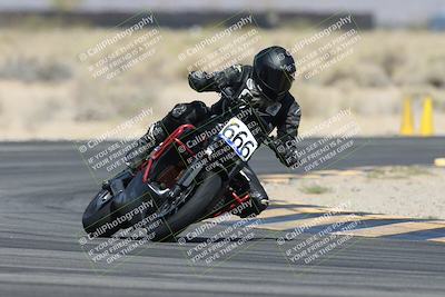 media/Apr-26-2025-BRL Bagger Racing League (Sat) [[9e270f465f]]/2-Liquid and Air Cooled Twins Qualifying/